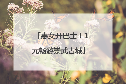 惠女开巴士！1元畅游崇武古城