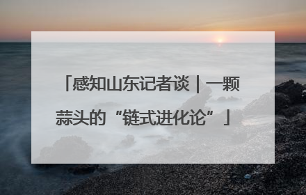 感知山东记者谈｜一颗蒜头的“链式进化论”