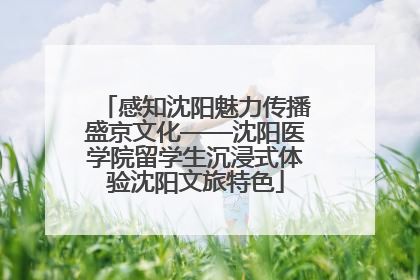 感知沈阳魅力传播盛京文化——沈阳医学院留学生沉浸式体验沈阳文旅特色
