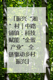 振兴“湘”村｜中路铺镇：科技赋能“金蛋产业” 全链驱动乡村振兴