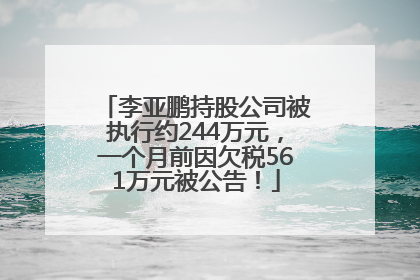 李亚鹏持股公司被执行约244万元，一个月前因欠税561万元被公告！