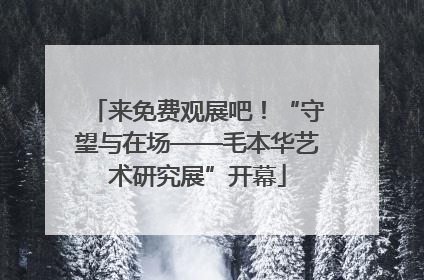 来免费观展吧！“守望与在场——毛本华艺术研究展”开幕