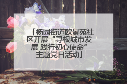 杨园街道欧景苑社区开展“寻根城市发展 践行初心使命”主题党日活动