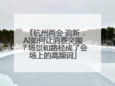 杭州两会·追新：AI如何让消费突围？场景和路径成了会场上的高频词