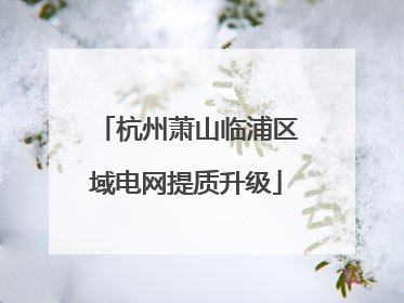 杭州萧山临浦区域电网提质升级