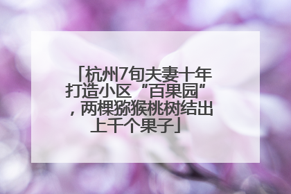 杭州7旬夫妻十年打造小区“百果园”，两棵猕猴桃树结出上千个果子