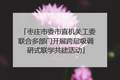 枣庄市委市直机关工委联合多部门开展跨层级调研式联学共建活动