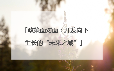 政策面对面：开发向下生长的“未来之城”