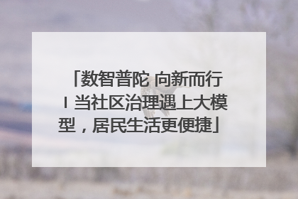 数智普陀 向新而行〡当社区治理遇上大模型，居民生活更便捷