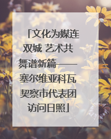 文化为媒连双城 艺术共舞谱新篇——塞尔维亚科瓦契察市代表团访问日照