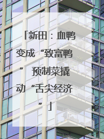 新田：血鸭变成“致富鸭” 预制菜撬动“舌尖经济”