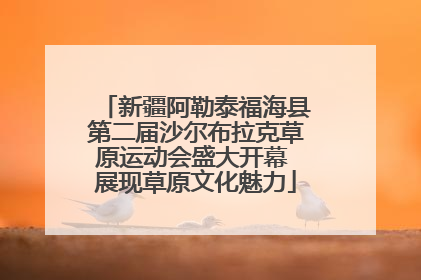 新疆阿勒泰福海县第二届沙尔布拉克草原运动会盛大开幕 展现草原文化魅力