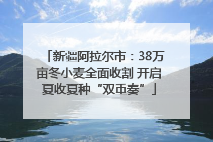 新疆阿拉尔市：38万亩冬小麦全面收割 开启夏收夏种“双重奏”