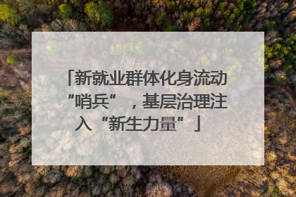 新就业群体化身流动“哨兵”，基层治理注入“新生力量”