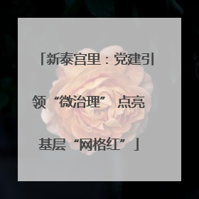 新泰宫里：党建引领“微治理” 点亮基层“网格红”