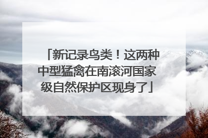 新记录鸟类！这两种中型猛禽在南滚河国家级自然保护区现身了