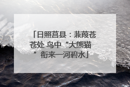 日照莒县：蒹葭苍苍处 鸟中“大熊猫”衔来一河碧水