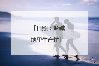 日照：盐碱地里生产忙