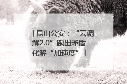 昆山公安：“云调解2.0”跑出矛盾化解“加速度”