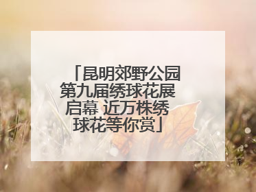 昆明郊野公园第九届绣球花展启幕 近万株绣球花等你赏