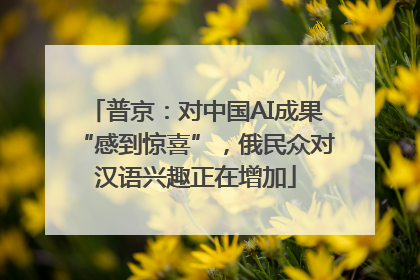 普京：对中国AI成果“感到惊喜”，俄民众对汉语兴趣正在增加