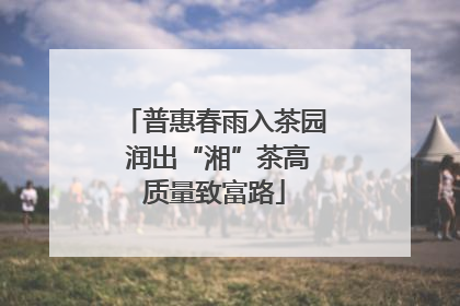 普惠春雨入茶园 润出“湘”茶高质量致富路