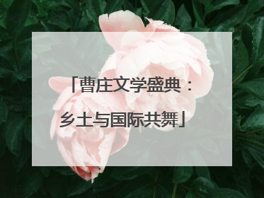 曹庄文学盛典：乡土与国际共舞