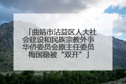 曲靖市沾益区人大社会建设和民族宗教外事华侨委员会原主任委员梅国稳被“双开”