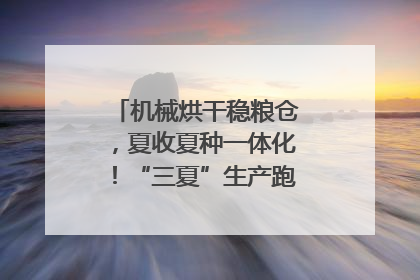 机械烘干稳粮仓，夏收夏种一体化！“三夏”生产跑出加速度｜麦报