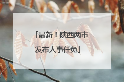 最新！陕西两市发布人事任免