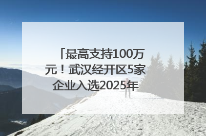 最高支持100万元！武汉经开区5家企业入选2025年度武汉市重点研发计划拟立项项目名单