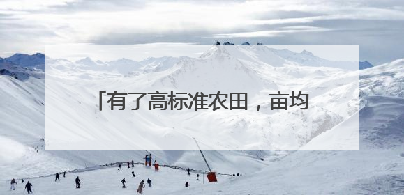 有了高标准农田，亩均纯利增六成（经济聚焦·夏收里的“新选手”）