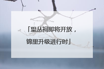 望丛祠即将开放，锦里升级进行时