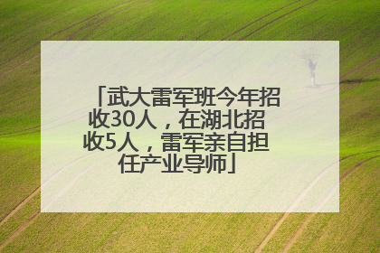 武大雷军班今年招收30人，在湖北招收5人，雷军亲自担任产业导师
