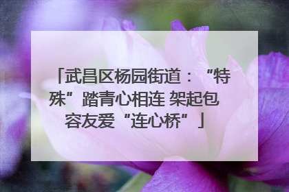 武昌区杨园街道：“特殊”踏青心相连 架起包容友爱“连心桥”