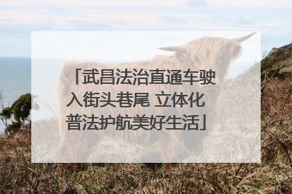 武昌法治直通车驶入街头巷尾 立体化普法护航美好生活