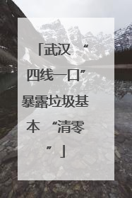 武汉 “四线一口”暴露垃圾基本 “清零”