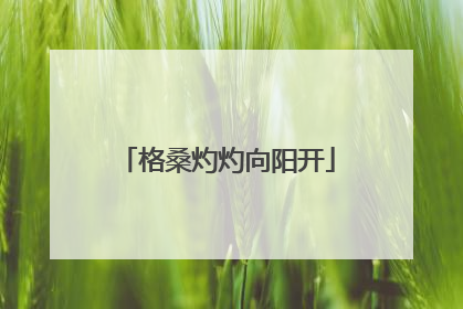 格桑灼灼向阳开