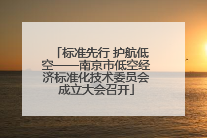 标准先行 护航低空——南京市低空经济标准化技术委员会成立大会召开