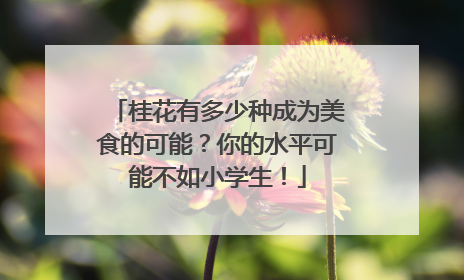 桂花有多少种成为美食的可能？你的水平可能不如小学生！