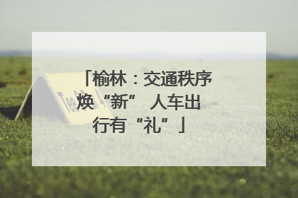 榆林：交通秩序焕“新” 人车出行有“礼”