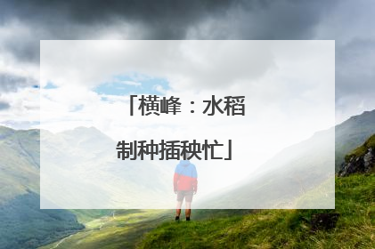 横峰：水稻制种插秧忙