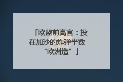 欧盟前高官：投在加沙的炸弹半数“欧洲造”