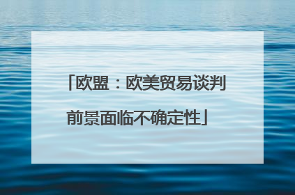 欧盟：欧美贸易谈判前景面临不确定性