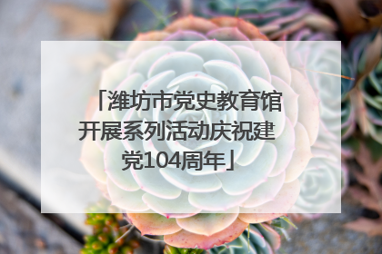 潍坊市党史教育馆开展系列活动庆祝建党104周年