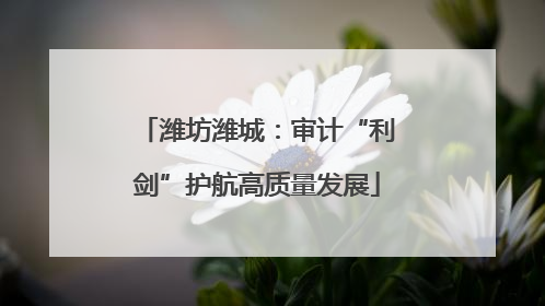潍坊潍城：审计“利剑”护航高质量发展
