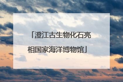 澄江古生物化石亮相国家海洋博物馆