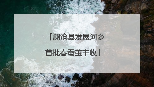 澜沧县发展河乡首批春蚕茧丰收