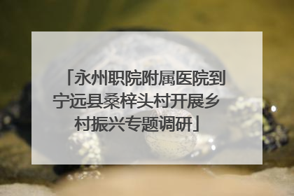 永州职院附属医院到宁远县桑梓头村开展乡村振兴专题调研