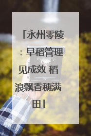 永州零陵：早稻管理见成效 稻浪飘香穗满田